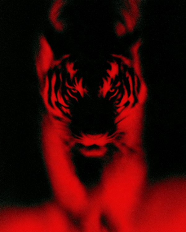 Rouge look