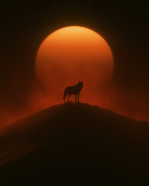 Desert Wallpaper Pack: 20 HD phone wallpapers, example 1