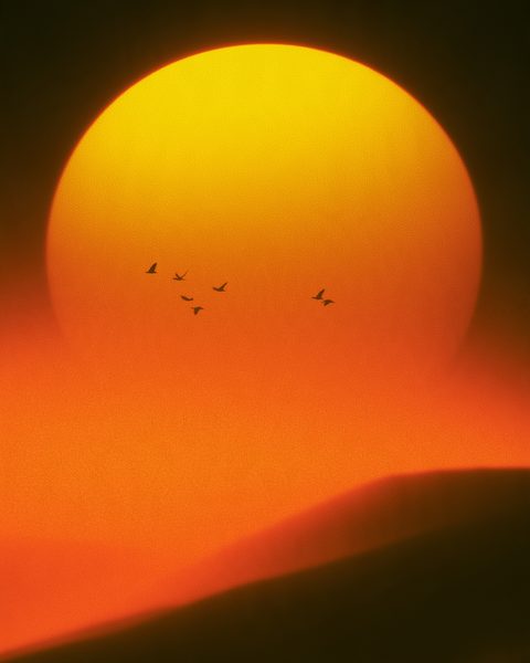 Desert Wallpaper Pack: 20 HD phone wallpapers, example 3