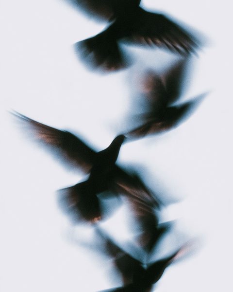 Lightweight Wallpaper Pack: 20 HD phone wallpapers, example 2