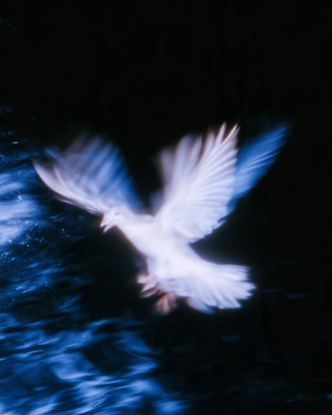 Motion Wallpaper Pack: 20 HD phone wallpapers, example 1
