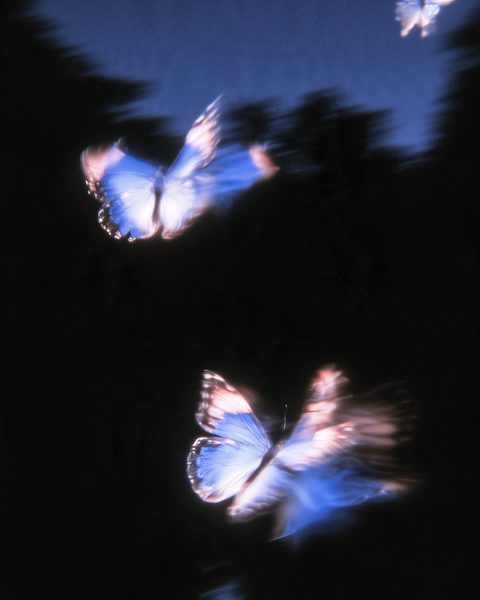 Motion Wallpaper Pack: 20 HD phone wallpapers, example 3